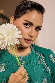 Safwa Ivory Embroidered Lawn Unstitched 3Piece Suit - IVO01