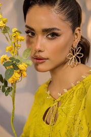 Safwa Ivory Embroidered Lawn Unstitched 3Piece Suit - IVO06