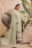 Safwa Ivory Embroidered Lawn Unstitched 3Piece Suit - IVO07