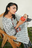 Safwa Printed Lawn Pret 2Pc Suit ( Ready To Wear ) P000871