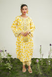 Safwa Embroidered Lawn Pret 2Pc Suit ( Ready To Wear ) P000899