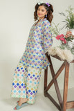 Safwa Embroidered Lawn Pret 2Pc Suit ( Ready To Wear ) P000902