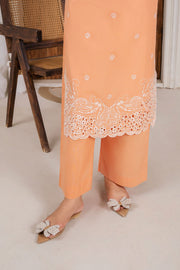 Safwa Embroidered Formal 2PC Ready to Wear Suit - P000925