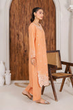 Safwa Embroidered Formal 2PC Ready to Wear Suit - P000925