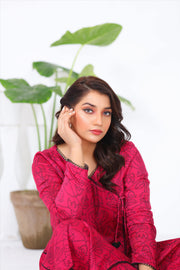 Noorangi Kaif Dull Silk 2 Piece Pret Suit WP-09