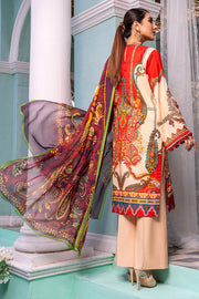 Motifz 0113-MERAKI