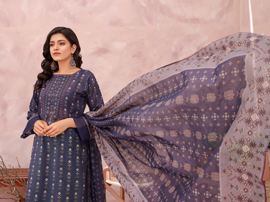 Rang e Noor by Humdum Unstitched Printed Lawn 3 Piece Suit D-02