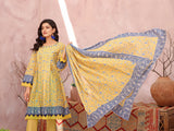 Rang e Noor by Humdum Unstitched Printed Lawn 3 Piece Suit D-05