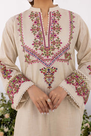 Nuriyaa Spring Summer Embroidered Lawn Pret 2 Piece Suit - Kanat