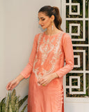 Noor Jahan by Daud Abbas Luxury Pret 2 Piece Suit - Noor