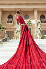 Reign Luxury Embroidered Net Bridal Wear - Hermoine