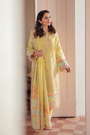 Rang Rasiya LE-D-12 Primrose
