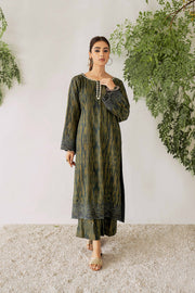 Nuriyaa Winter Tale Embroidered Pret Slub Khaddar 2pc Suit - DIVA