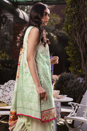 Motifz 3243-PISTACHIO