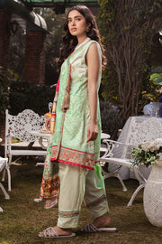 Motifz 3243-PISTACHIO