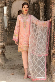 Motifz Amal 3306-REEM