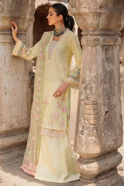 Motifz Amal 3309-ZENEL