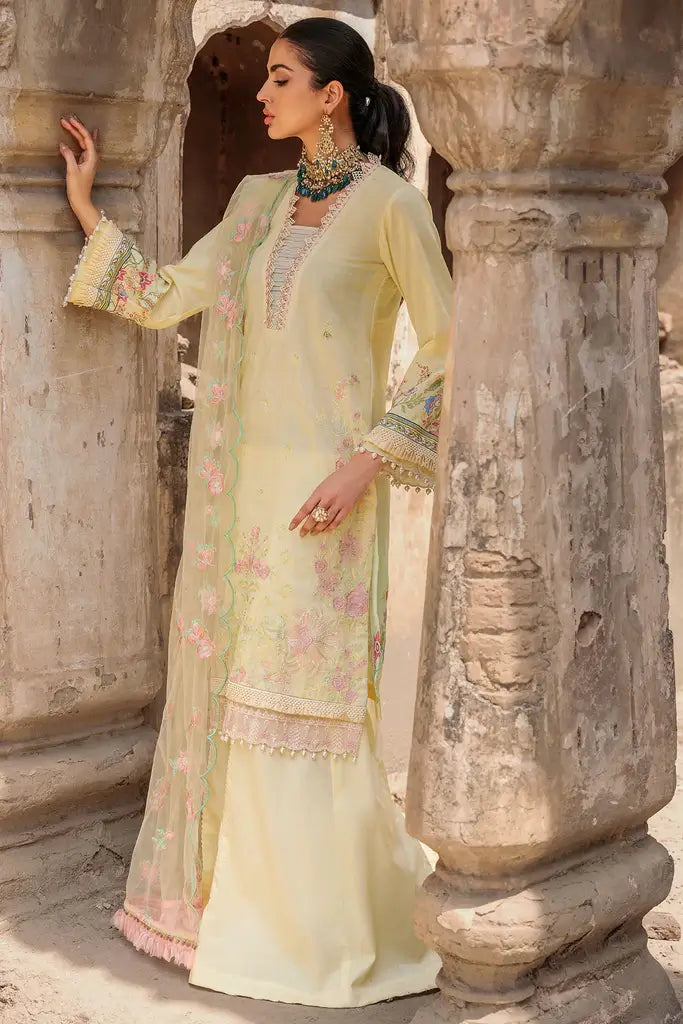 Motifz Amal 3309-ZENEL