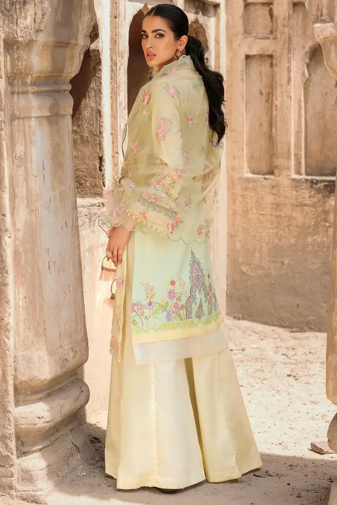 Motifz Amal 3309-ZENEL