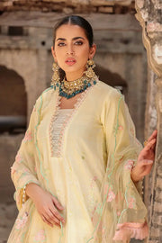 Motifz Amal 3309-ZENEL