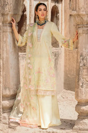 Motifz Amal 3309-ZENEL