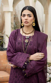 Aafreen by Riaz Arts Embroidered Chikankari Schiffli Lawn 3Pc AF-01