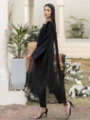Aafreen by Riaz Arts Embroidered Chikankari Schiffli Lawn 3Pc AF-03