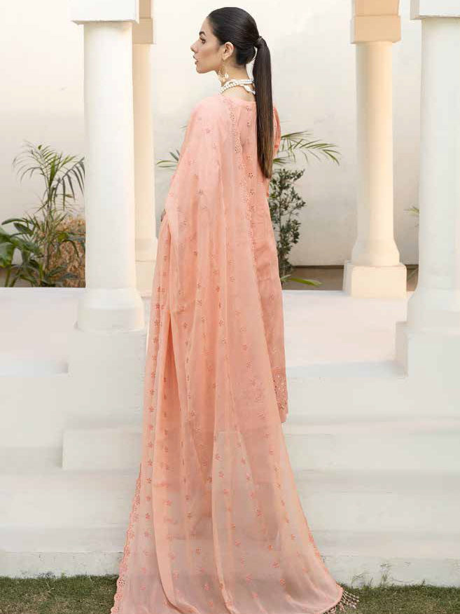 Aafreen by Riaz Arts Embroidered Chikankari Schiffli Lawn 3Pc AF-04