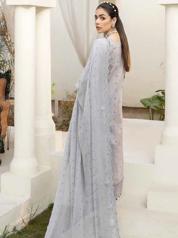 Aafreen by Riaz Arts Embroidered Chikankari Schiffli Lawn 3Pc AF-06