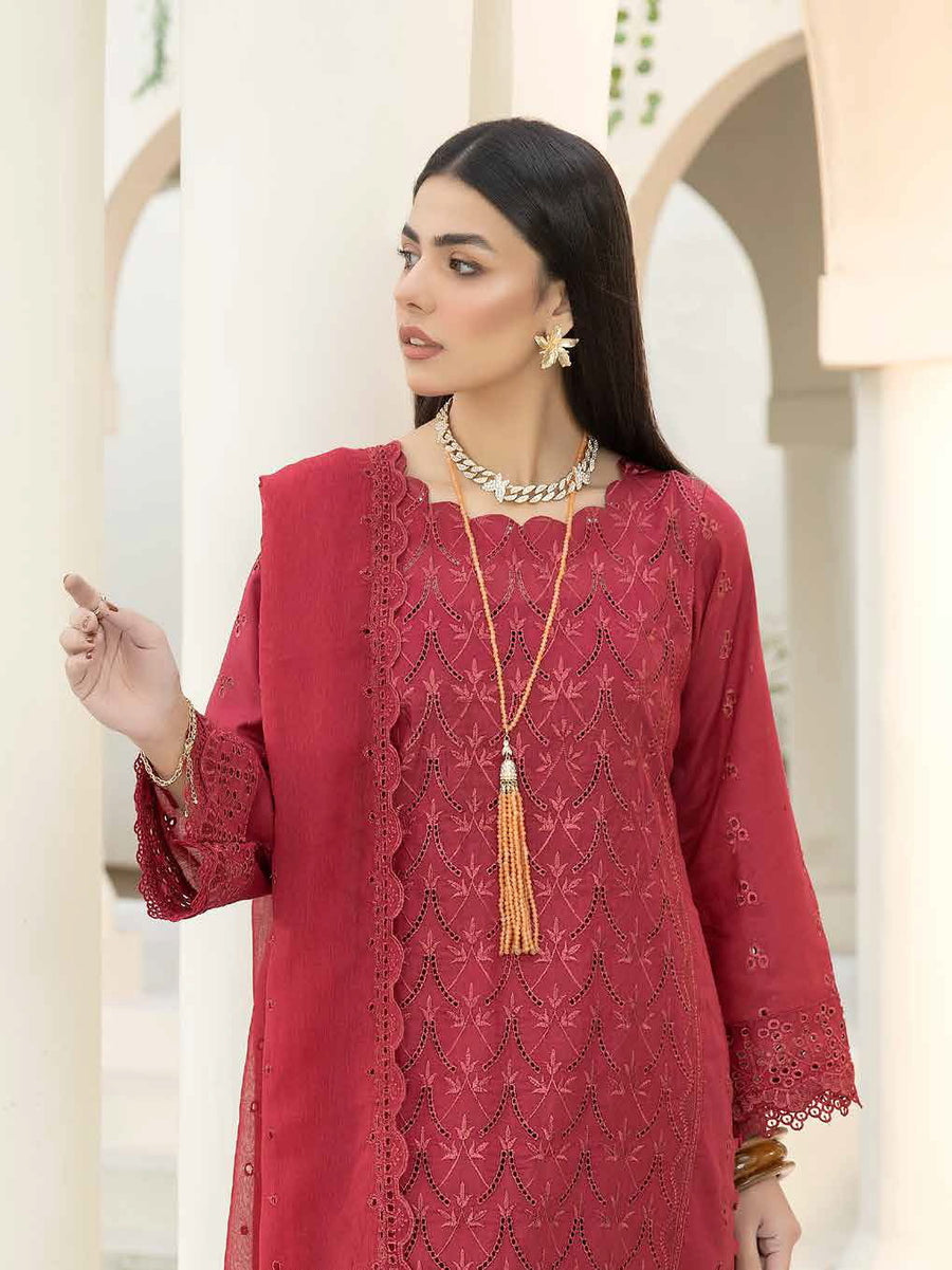 Aafreen by Riaz Arts Embroidered Chikankari Schiffli Lawn 3Pc AF-09