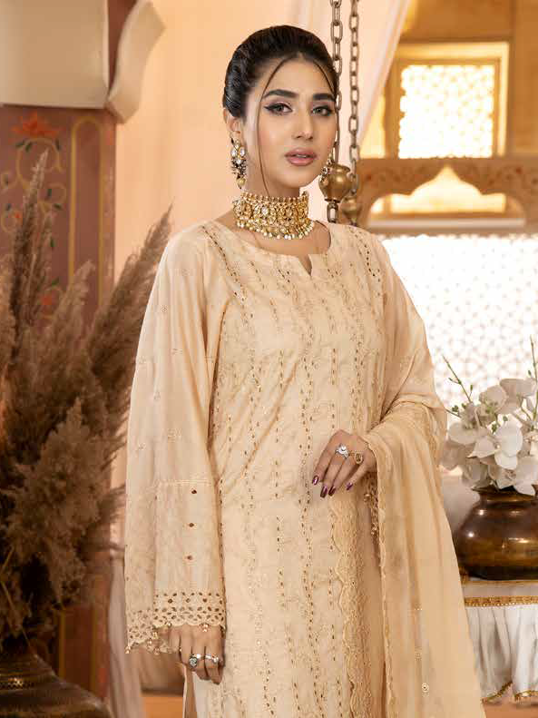 Aafreen by Riaz Arts AF-17