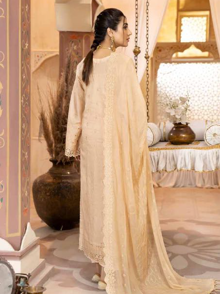 Aafreen by Riaz Arts AF-17