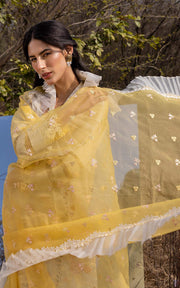 Asifa & Nabeel Aleyna Premium Embroidered Lawn Unstitched 3Pc ASL-04