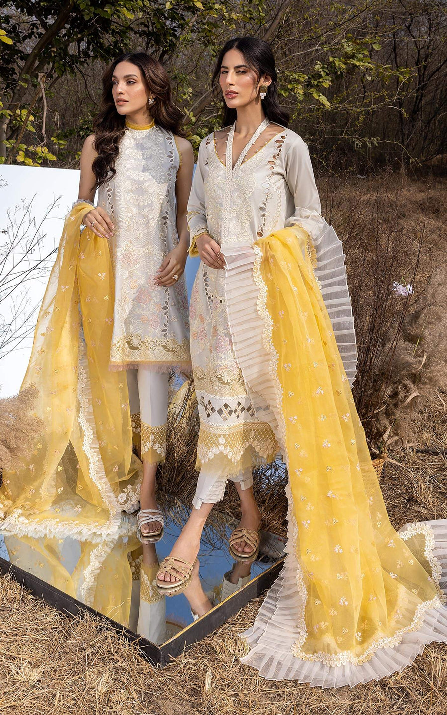 Asifa & Nabeel Aleyna Premium Embroidered Lawn Unstitched 3Pc ASL-04