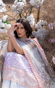Asifa & Nabeel Aleyna Premium Embroidered Lawn Unstitched 3Pc ASL-06
