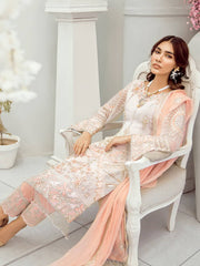 Akbar Aslam Luxury Chiffon Collection 2020 3pc Suit AAC-1306 DAISY - FaisalFabrics.pk