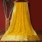 Tasneem Fabrics Women's Pure Organza Jacquard Dupatta - FBDY0002652