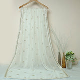 Tasneem Fabrics Women's Pure Chiffon Jacquard Dupatta - FBEM0000657
