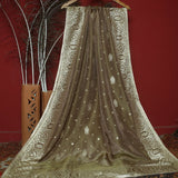 Tasneem Fabrics Women's Pure Chiffon Jacquard Dupatta - FBDY0002799