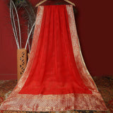 Tasneem Fabrics Women's Pure Organza Jacquard Dupatta - FBDY0002650