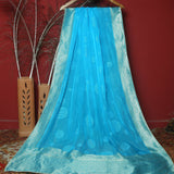 Tasneem Fabrics Women's Pure Organza Jacquard Dupatta - FBDY0002663