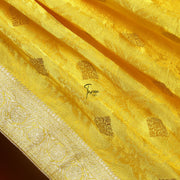 FBDY0002704-Pure Gaji Silk Jacquard - Tasneem Fabrics