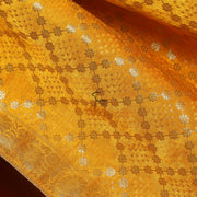 FBDY0002638-Pure Gaji Silk Jacquard - Tasneem Fabrics