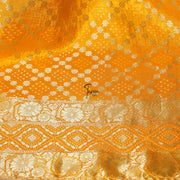 FBDY0002638-Pure Gaji Silk Jacquard - Tasneem Fabrics