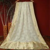 Tasneem Fabrics Women's Pure Organza Jacquard Dupatta - FBDY0002646