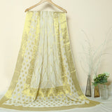 Tasneem Fabrics Women's Pure Chinon Jacquard Dupatta - MDWH0002041