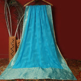 Tasneem Fabrics Women's Pure Organza Jacquard Dupatta - FBDY0002653