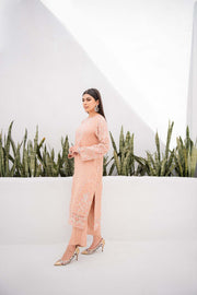 Nuriyaa Festive Formal 3 Piece Suit - Naargis