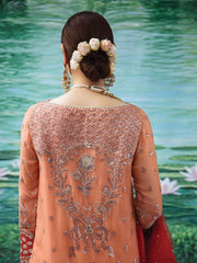 Afrozeh Shehnai Wedding Formals Embroidered 3Pc Suit D-06 Tabassum - FaisalFabrics.pk