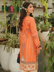Rang Rasiya Tunic Digital Printed Lawn Unstitched Kurti D-07 Cinamon
